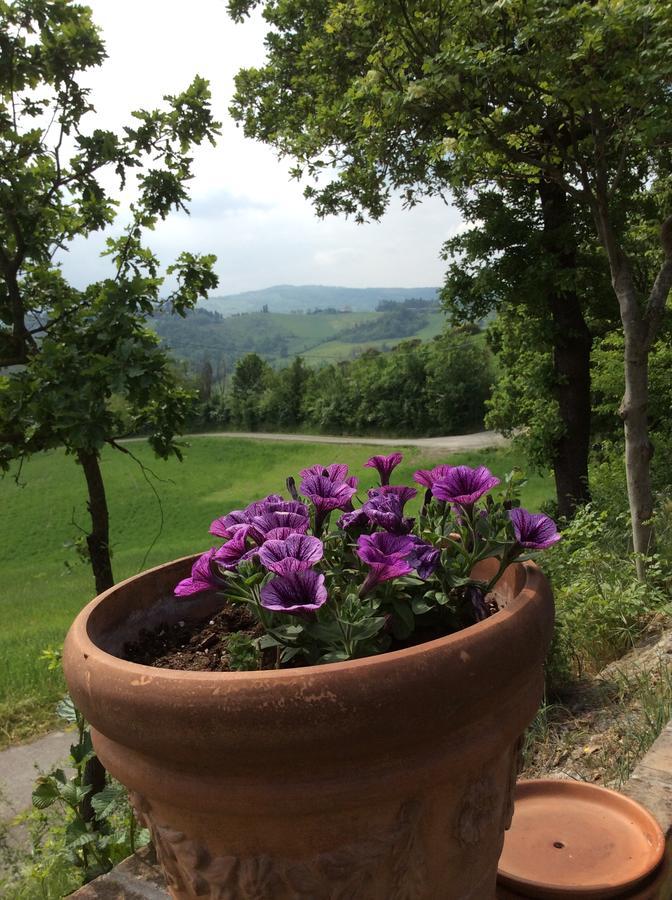 Agriturismo Ca Lunati Hotell Castelletto Mendosio Exteriör bild