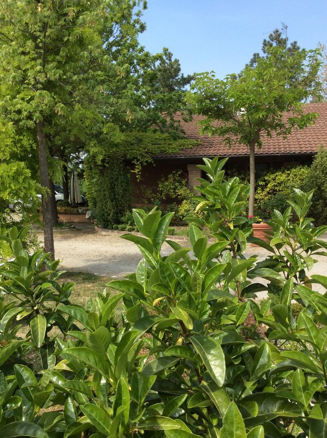 Agriturismo Ca Lunati Hotell Castelletto Mendosio Exteriör bild